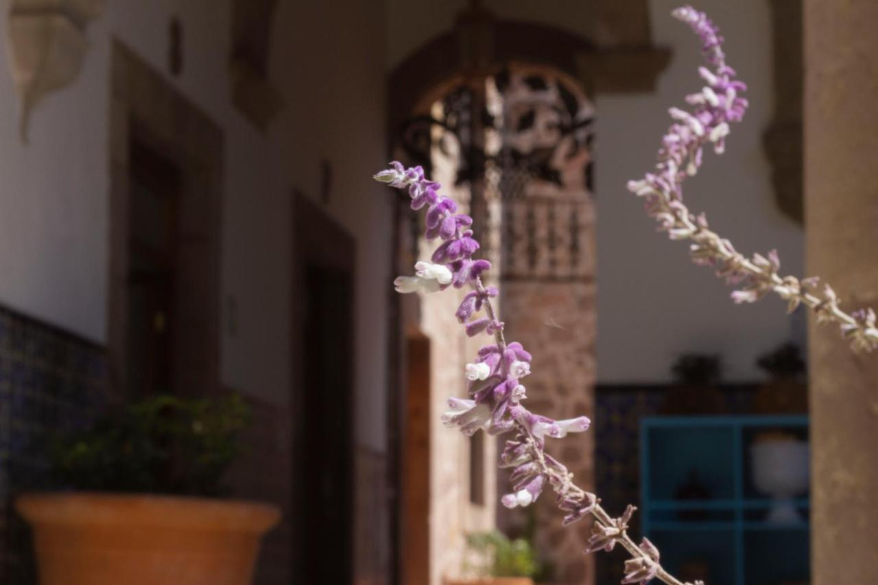 Nana Vida Hotel Morelia Exterior photo